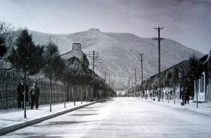 20081005_a7e3c3b9e013924226871wvxvUHWznhW